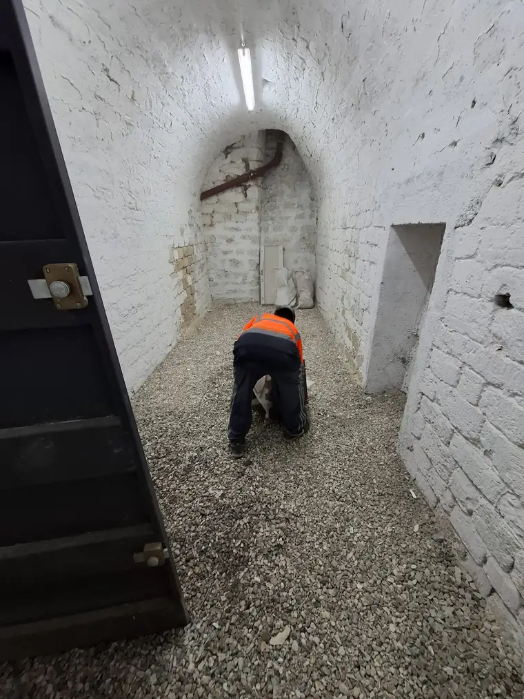 Notre équipe lors d'un débarras de cave à Paris