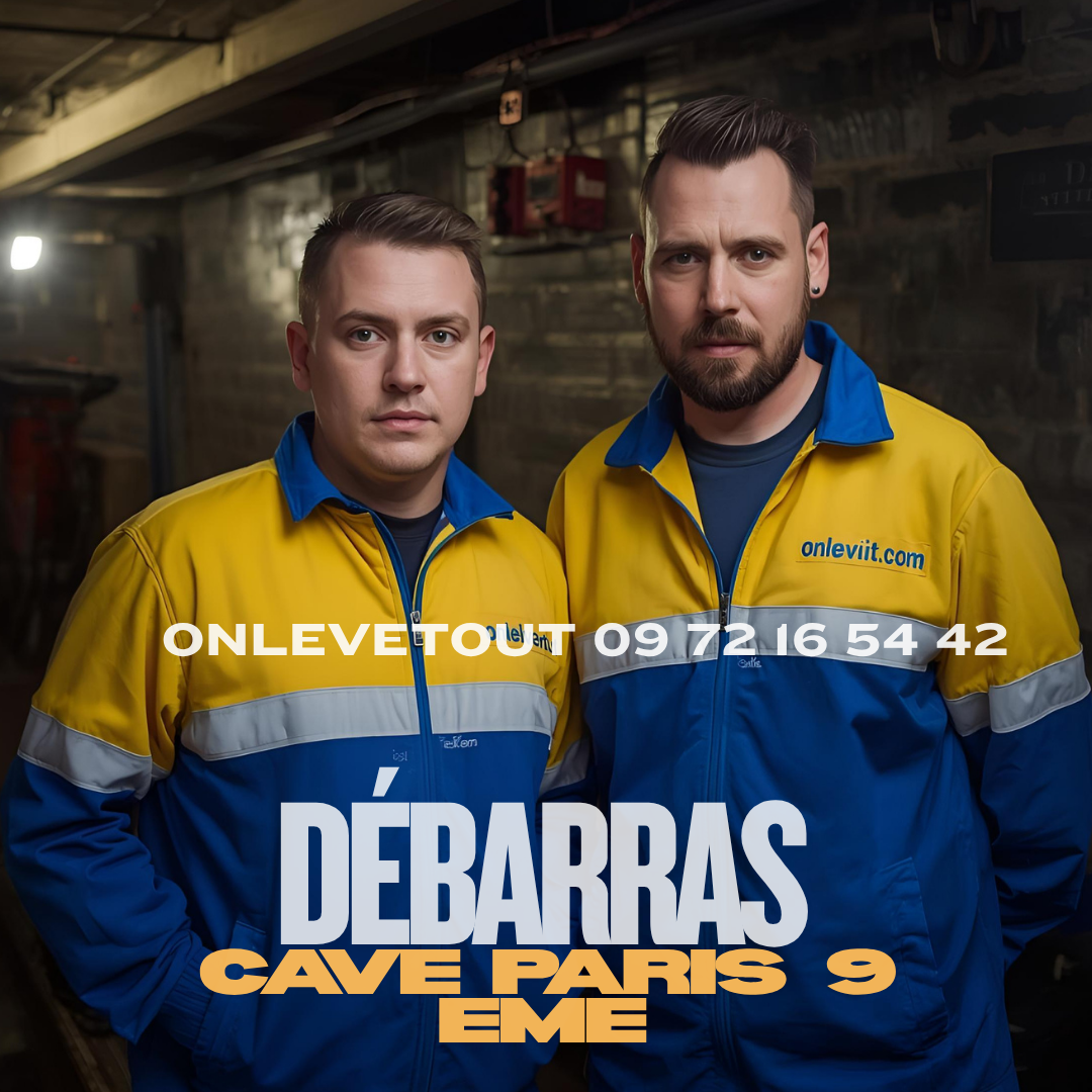 Débarras cave escalier immeuble haussmannien Paris 9