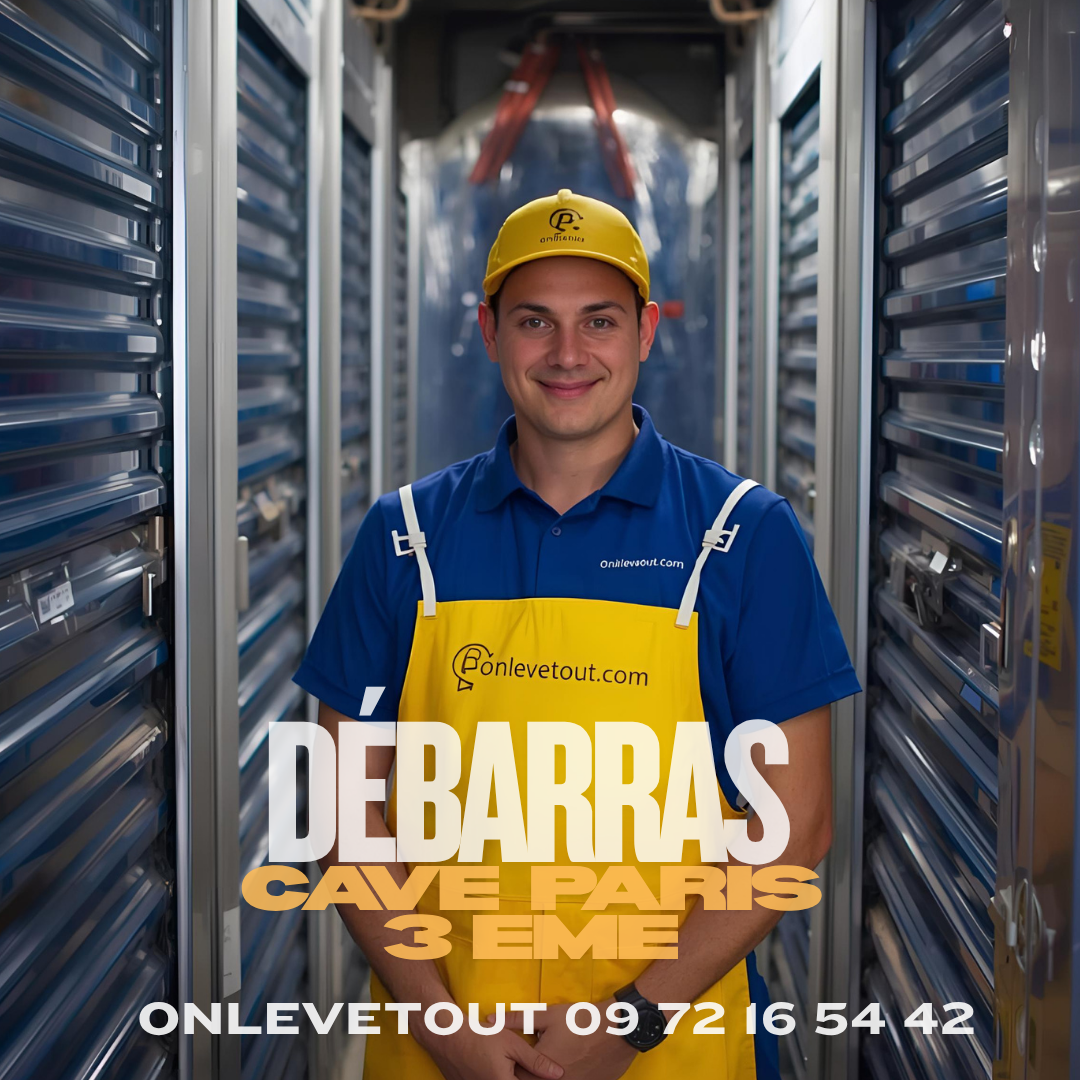 Équipe professionnelle réalisant un débarras cave Paris 3	