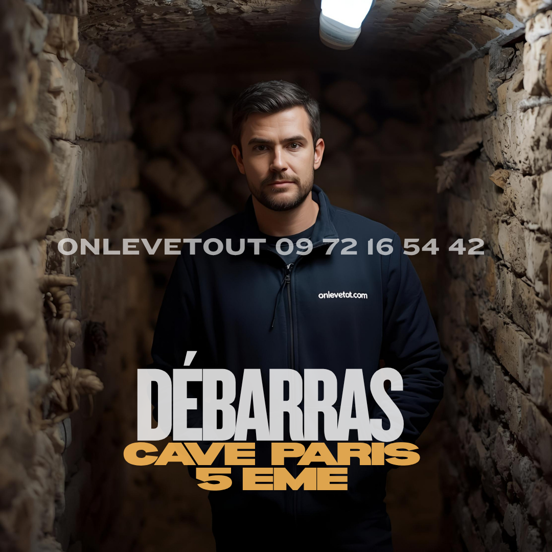 Équipe Onlevetout en action pour un débarras cave à Paris 5	