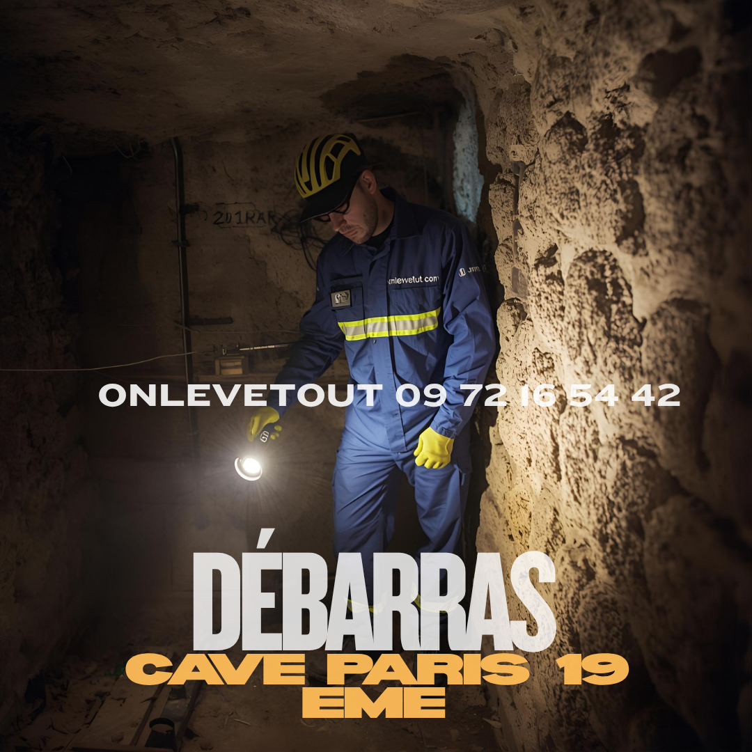 Débarras cave Pont-de-Flandre Paris 19