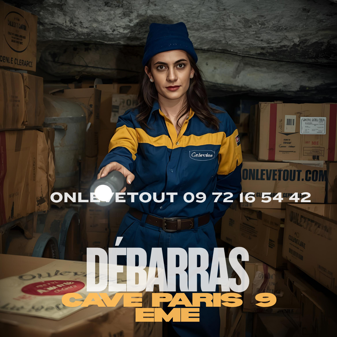 Immeubles haussmanniens Paris 9ème débarras cave