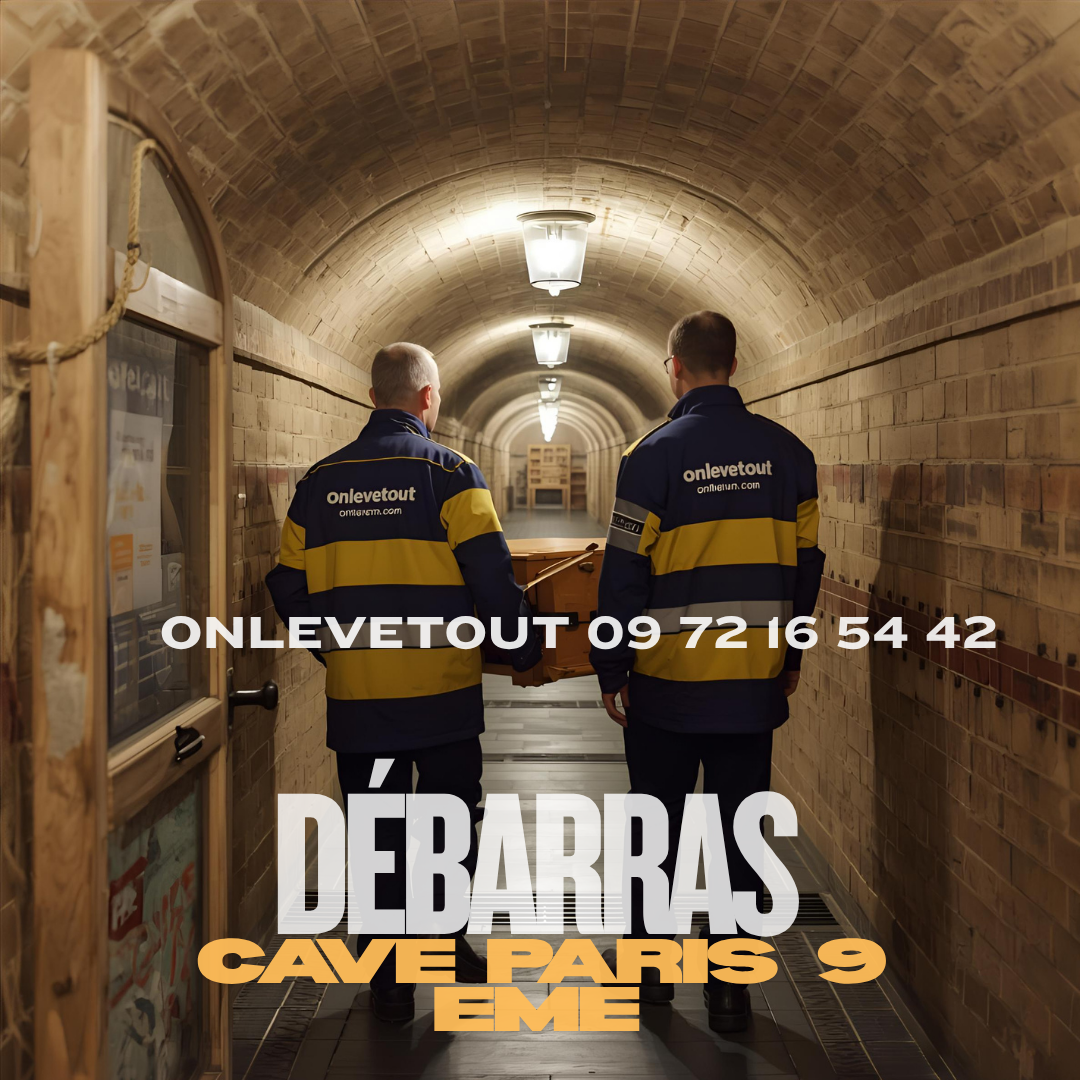 Nettoyage cave après débarras Paris 9