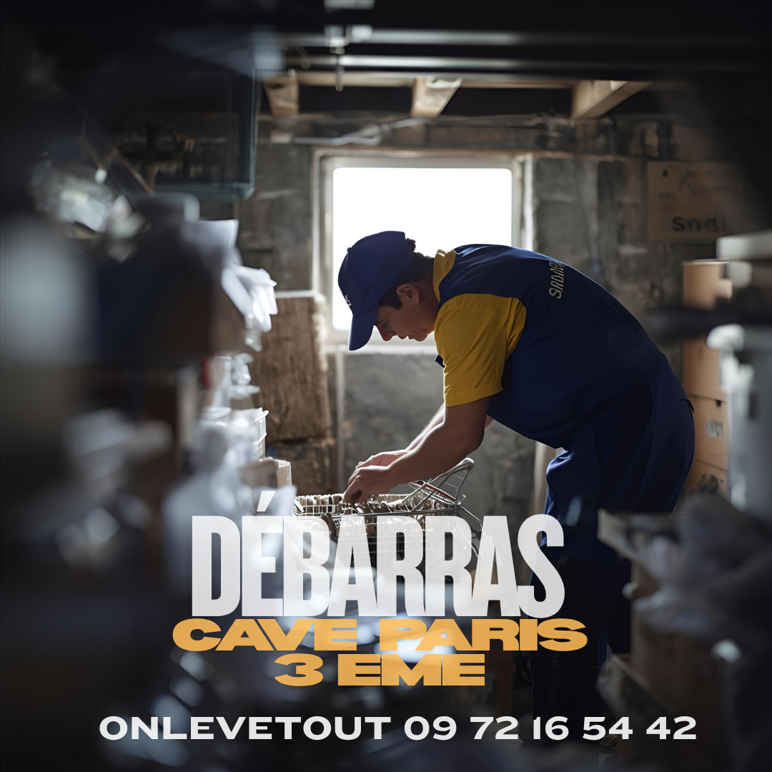 A propos de notre Équipe Onlevetout en action pour un débarras de cave à Paris 2