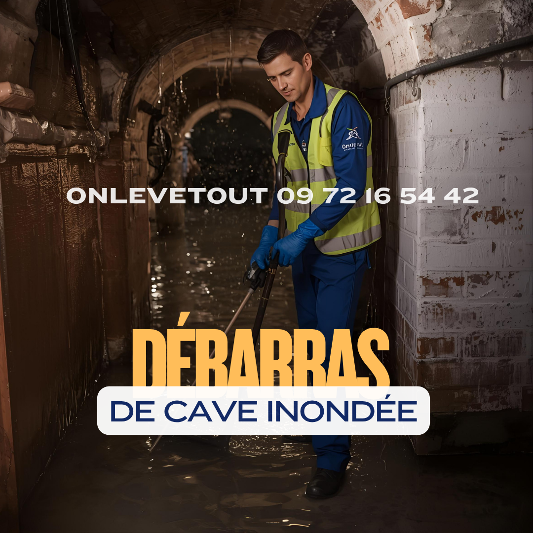 Schéma explicatif des 5 principales causes d'inondation de cave à Paris : refoulement, rupture, infiltration