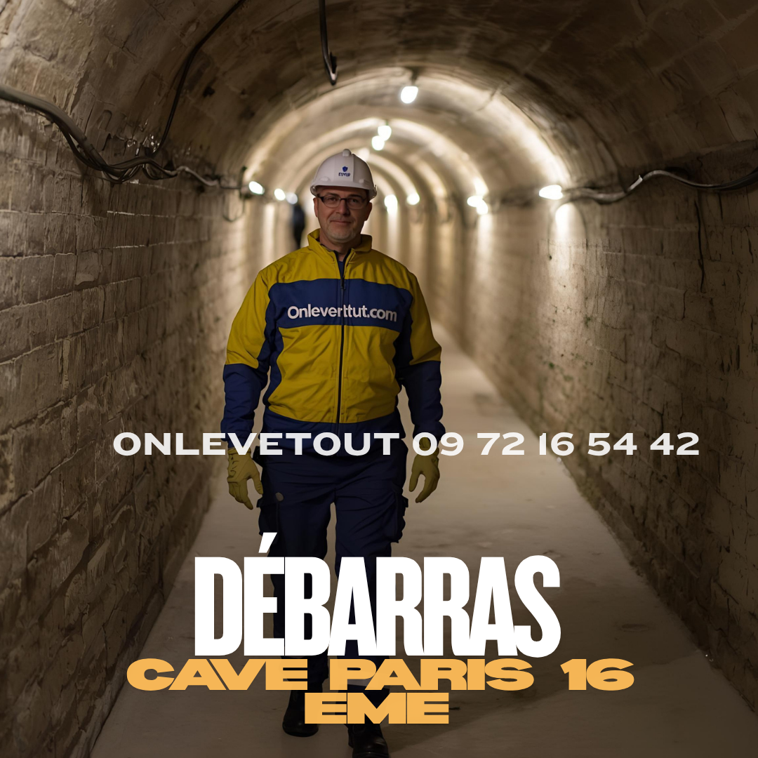 Débarras cave quartier Trocadéro Paris 16 luxe