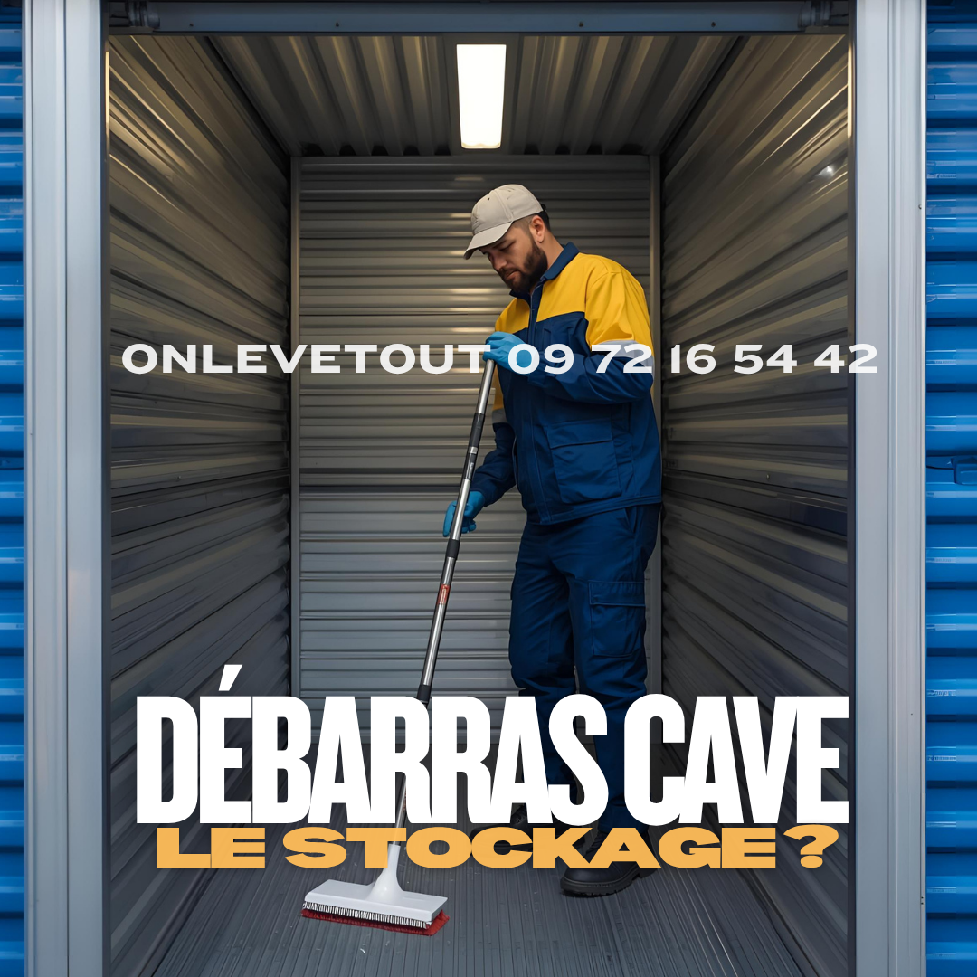 Graphique comparatif de l'évolution des coûts : débarras cave (coût fixe unique) vs garde-meuble (coût croissant linéaire)