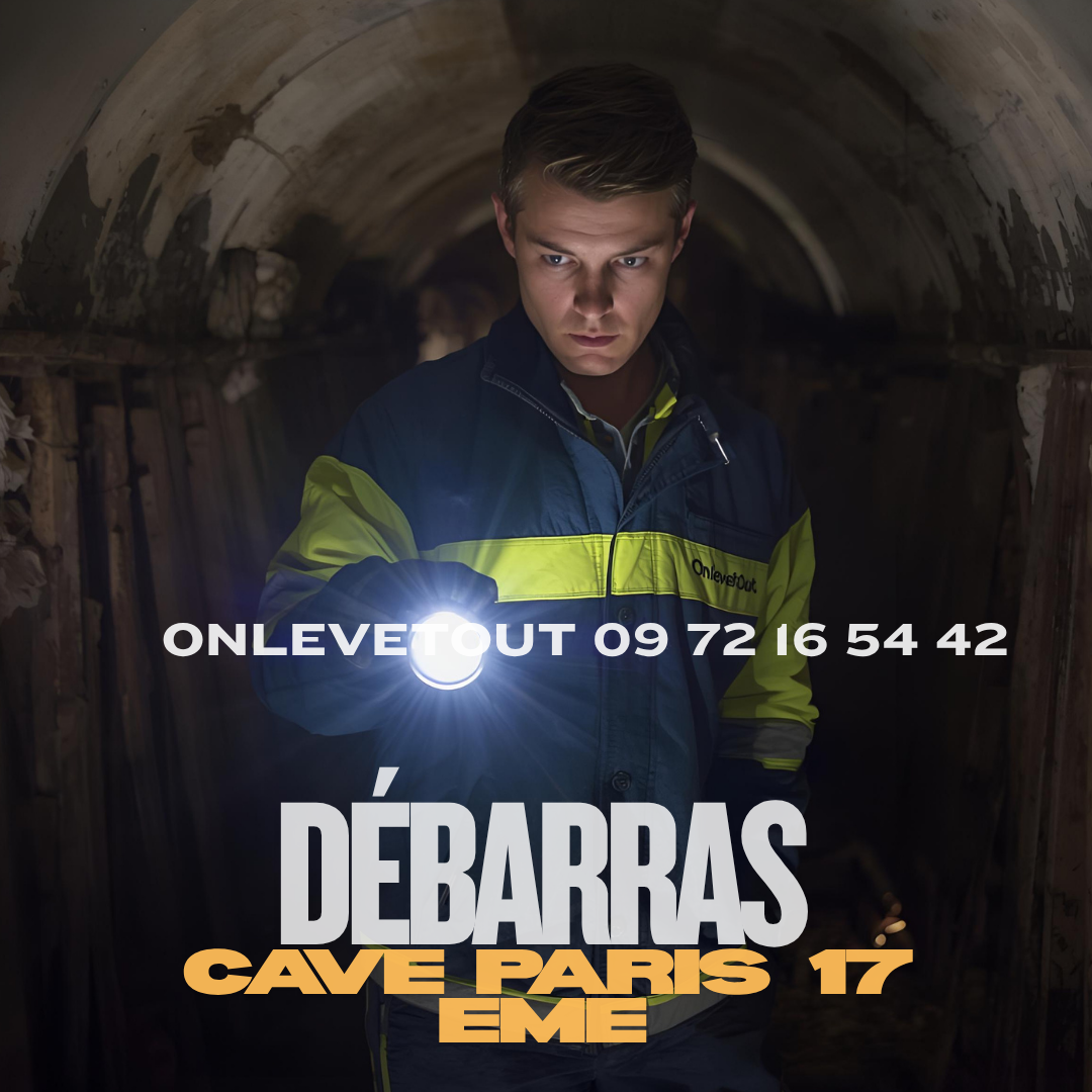 Tri pour recyclage et don débarras cave Paris 17