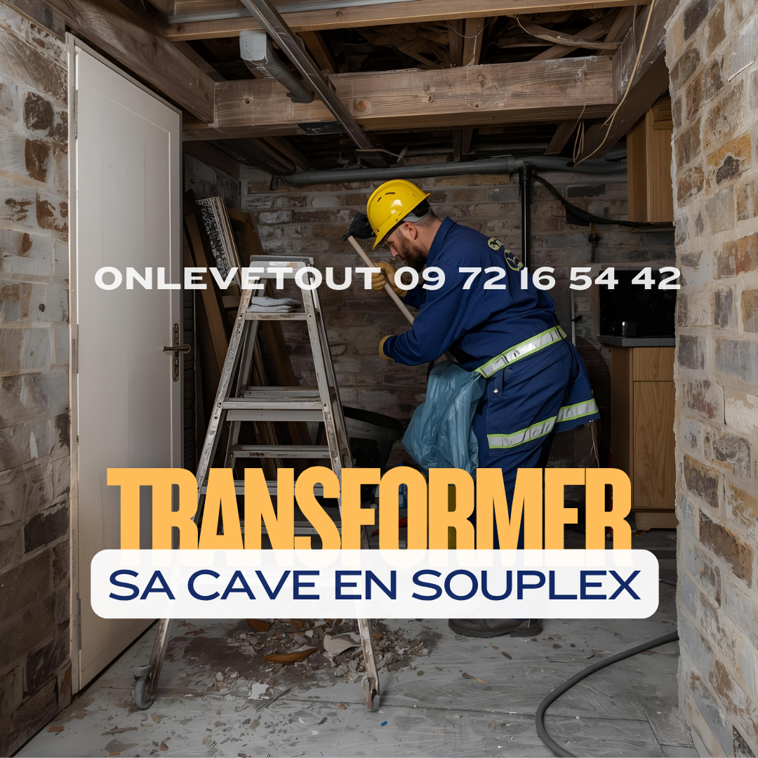 Transformer Sa Cave en Souplex à Paris, habitable moderne et lumineux